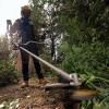 DCMBC823N-XJ Bull Handle BCutter 4